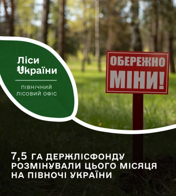 На Сумщині та Чернігівщині розмінували ще 7,5 га лісу