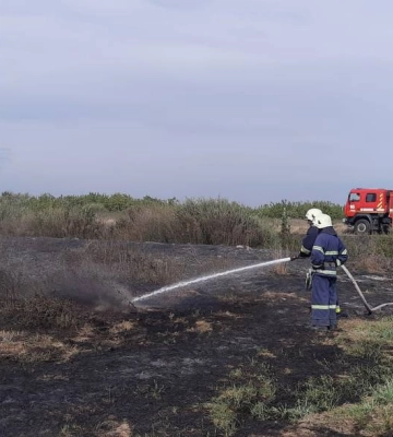 На Рівненщині упродовж доби горіло сміття та сухостій (ФОТО)