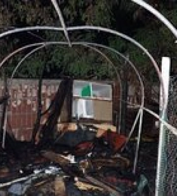 Пожар в приюте Киева. Погибли семь кошек, еще 53 – ранены, полиция начала расследование