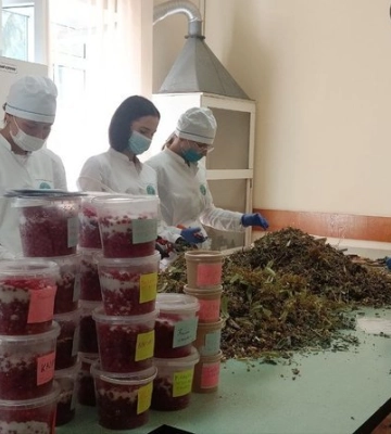 Луцькі студенти вже 9 років готують мазі та чаї для військових 
