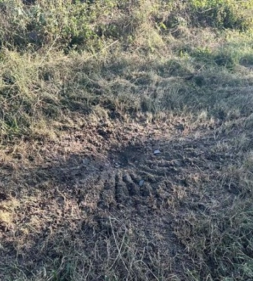 Упродовж минулої доби ворог обстрілював п’ять районів Харківщини