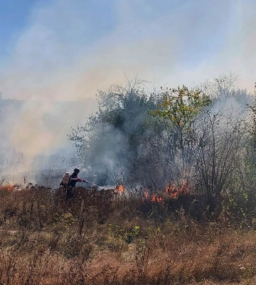 На Харківщині через російські обстріли за добу згоріло понад 16 га природних екосистем