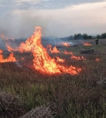 На Хустщині гасили масштабну пожежу в екосистемі