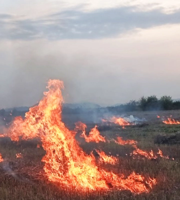 На Хустщині гасили масштабну пожежу в екосистемі