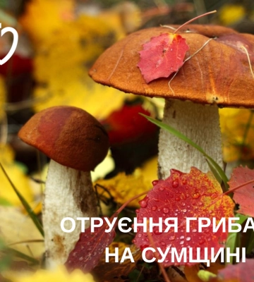 На Сумщині ще грибами отруїлася ціла сім’я