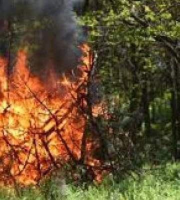 На Київщині найближчими днями попереджають про пожежну небезпеку