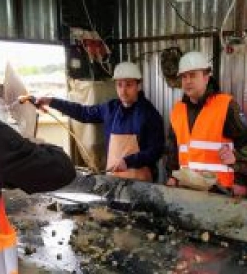 Легалізують видобуток поліського бурштину