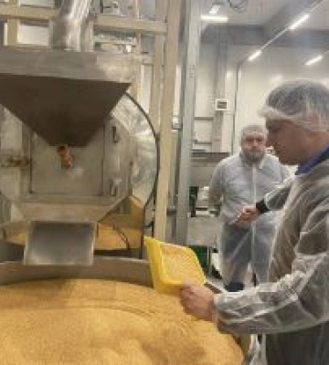 Горіхи розвивають  переробку