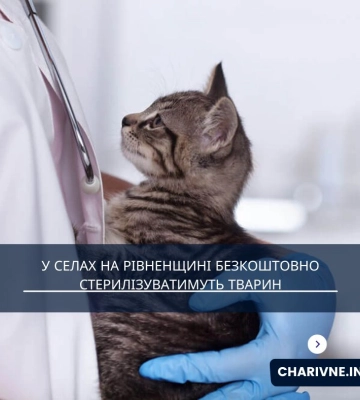 У селах на Рівненщині безкоштовно стерилізуватимуть тварин