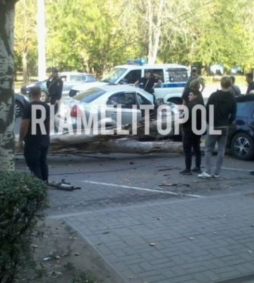 На центральном проспекте в Мелитополе дерево рухнуло на проезжающий автомобиль 