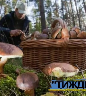 &quot;Тихе полювання&quot; в Тростянецькому лісі завершилося для грибників реанімацією
