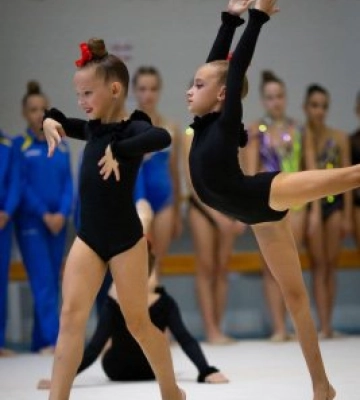 У Миколаєві відбувся Відкритий чемпіонат Миколаївської області з художньої гімнастики
