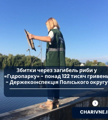 Екоінспектори підрахували збитки, завдані через загибель риби у Гідропарку Рівного