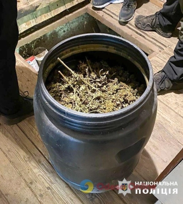 У жителя Одесской области обнаружили плантацию конопли и бочку марихуаны