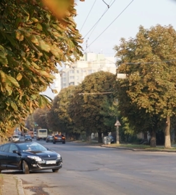 Квіти, песики, каштани: Дубнівська у Луцьку восени 