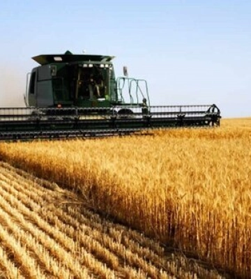 Окупаційна влада на Херсонщині віддає землі місцевим фермерам, які погодилися працювати за російськими стандартами, -&amp;hellip;