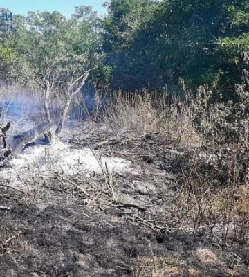 В Одеській області пожежники покарали палія