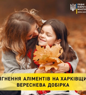 Майже пів млн грн стягнули з трьох батьків з Харківщини, які не платили дітям