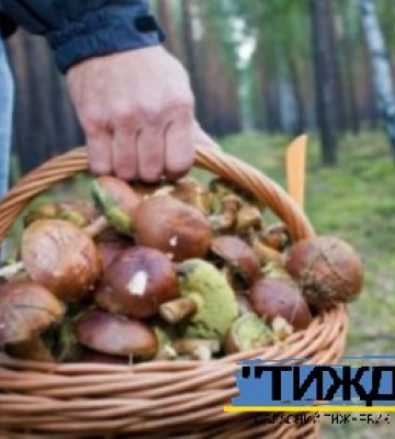 Гриби – це дарунок лісу. Але обережність не завадить