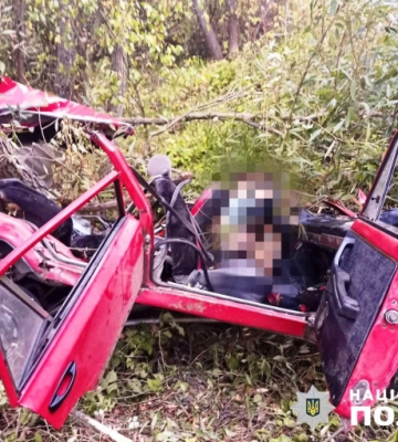 В Житомирській області в автоаварії загинув чоловік