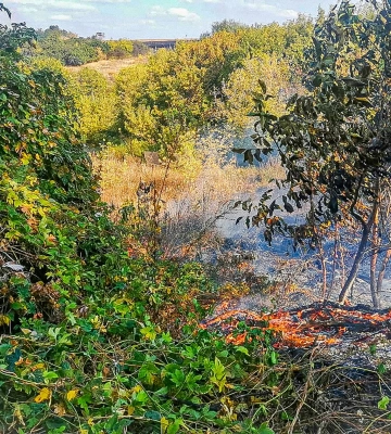 Масштабна пожежа сталася на Куп’янщині через ворожий артобстріл 