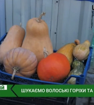 Скільки коштують гарбузи та горіхи на ринку в Луцьку: ціни (відео)