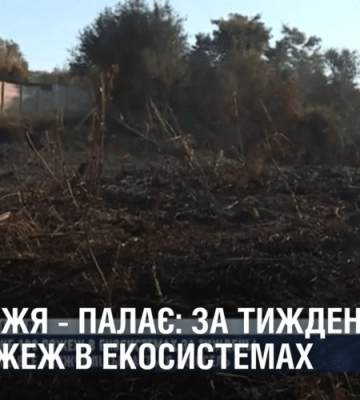 Криворіжжя – палає: за тиждень – майже сотня пожеж в екосистемах