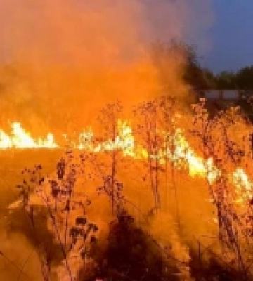 Рятувальники Херсонщини загасили 15 пожеж