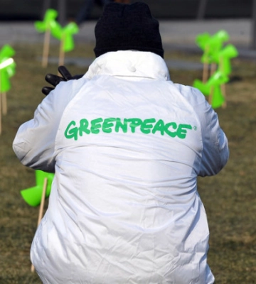Greenpeace разослала западным правительствам предупреждение относительно безопасности на Запорожской АЭС