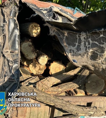 На Харьковщине «черный» лесоруб жестоко избил мастера леса: подробности