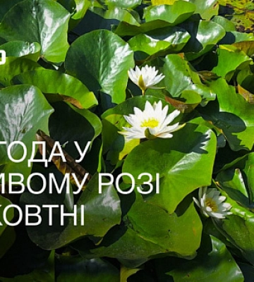 Жовтень 2023: яку погоду очікувати криворіжцям