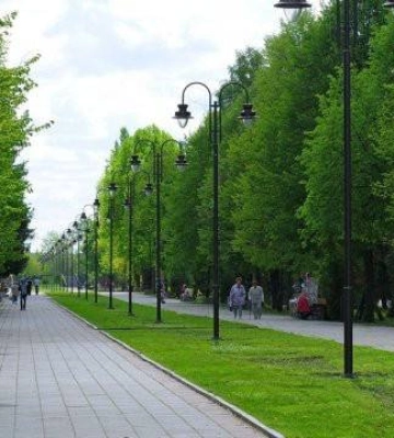 У Миколаївській облраді працюють над створенням регіональних правил озеленення міст та сел
