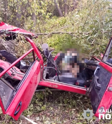 ДТП на Житомирщині: дерево на узбіччі розірвало легковик, є загиблий та поранений (ФОТО)