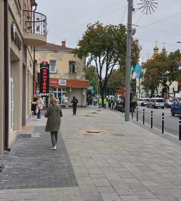 Замість старих лип у Рівному — молоді платани