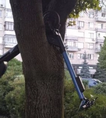 У Дніпрі невідомі “припаркували” орендований електросамокат на дереві