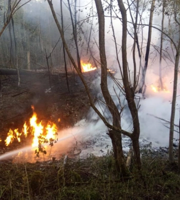 Світлана Онищук повідомила нові подробиці загоряння нафтопроводу на Івано-Франківщині