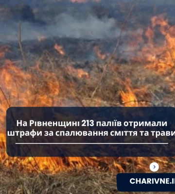 На Рівненщині 213 паліїв отримали штрафи за спалювання сміття та трави