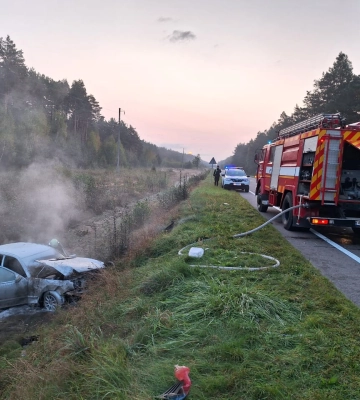 На Волині легковик з’їхав у кювет і загорівся. Фото