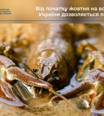 На водоймах Кіровоградщини дозволили лов раків