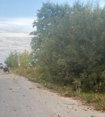 На Волині легковик злетів у кювет і загорівся 