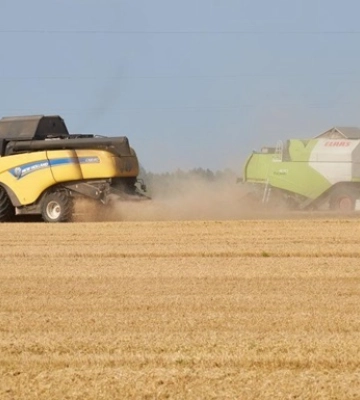 В Україні знову покращили прогноз щодо врожаю