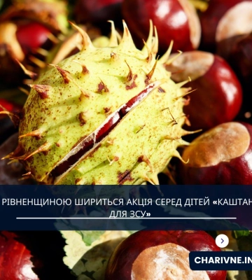 Рівненщиною шириться акція серед дітей «Каштани для ЗСУ»