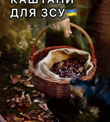 «Каштанові» акції, ярмарки та турніри. У громадах Рівненщини організовують активності для допомоги ЗСУ