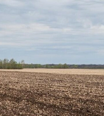 На Полтавщині судитимуть жінку, яка незаконно присвоїла компанії землю вартістю понад 10 млн грн