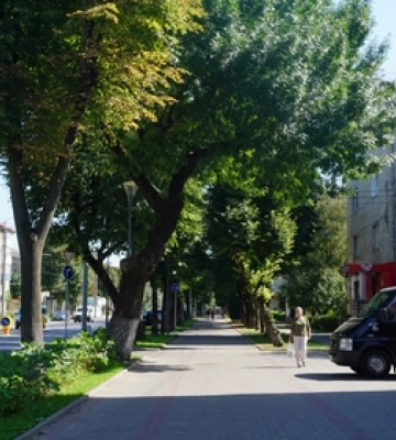 Невелика хмарність: погода у Луцьку на вівторок, 3 жовтня