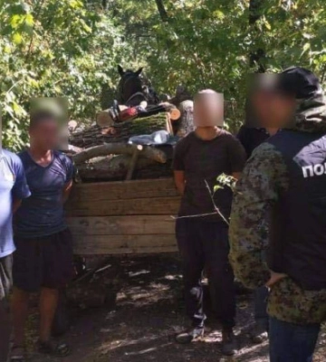 Незаконная вырубка ботанического заказника &quot;Павловский&quot; в Одесской области: фигурантам сообщено о подозрении