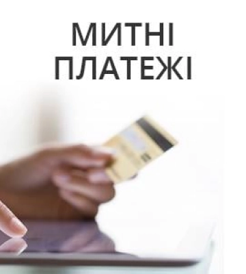 Закарпатська митниця скерувала у Держбюджет рекордні 10 мільярдів гривень