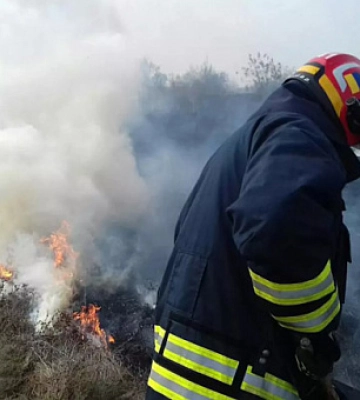 Рятувальники Дніпропетровщини за добу приборкали 74 пожежі в екосистемах