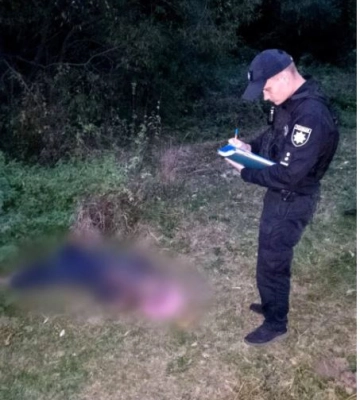 На Киевщине шершни до смерти закусали мужчину