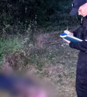На Киевщине шершни до смерти закусали мужчину